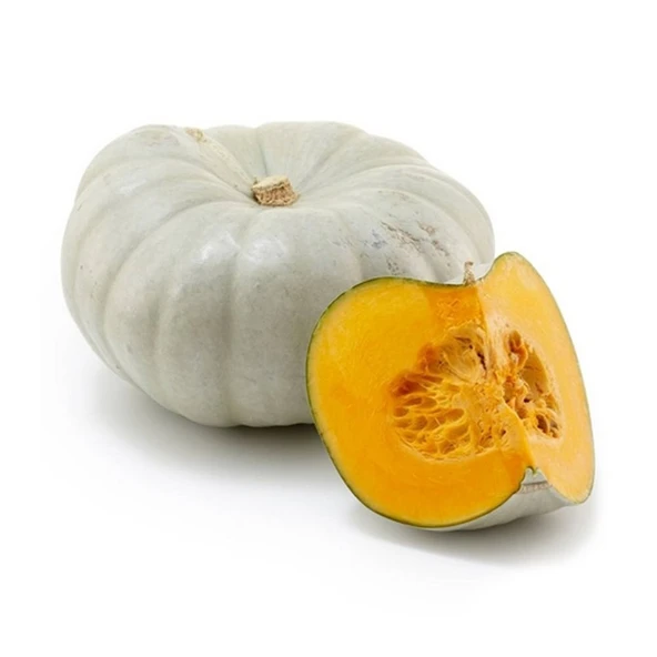 Bal Kabağı 30 Tohumu 10 GR + Ekstra 20 Tohumu Olarak