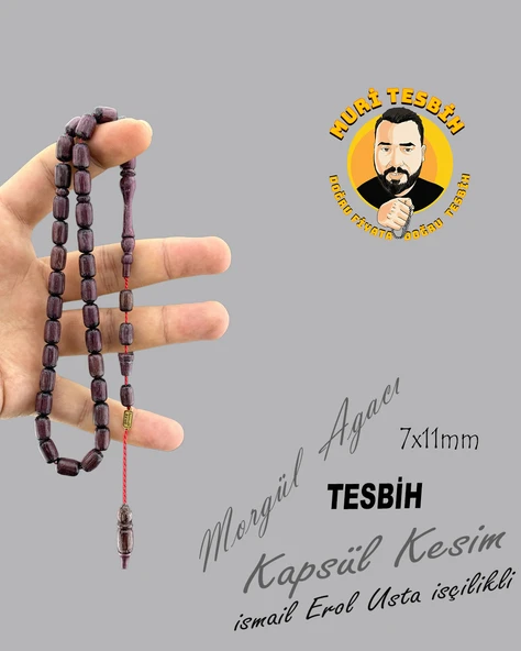 İSMAİL EROL MORGÜL AĞACI KAPSÜL KESİM 7X11
