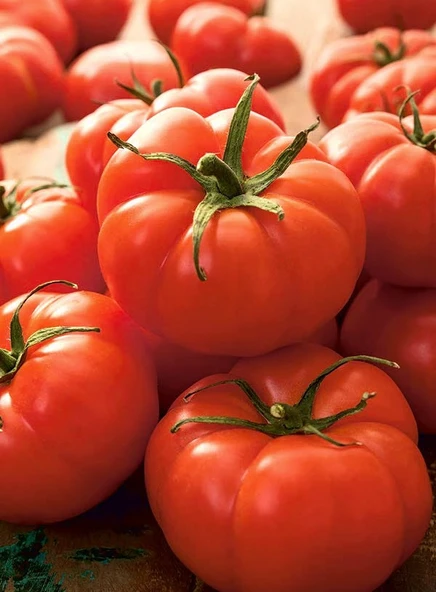 Marmande Domates Köy Tipi Tohumu +500