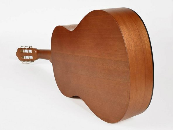 VALENCIA VC204 KLASİK GİTAR, 4/4, NATUREL MAT + KILIF + PENA - 2