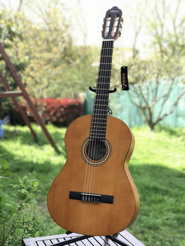 VALENCIA VC204 KLASİK GİTAR, 4/4, NATUREL MAT + KILIF + PENA - 5