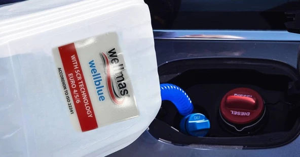 Wellmas Wellblue 5 Lt. - Resim 3