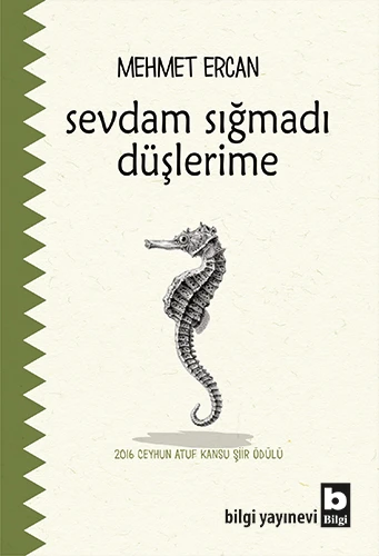 Sevdam Sığmadı Düşlerime ürün görseli 1