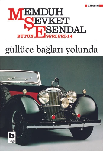 Güllüce Bağları Yolunda