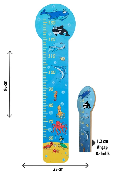 OKYANUS BOY CETVELİ - 5