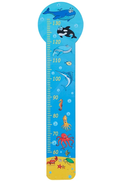 OKYANUS BOY CETVELİ