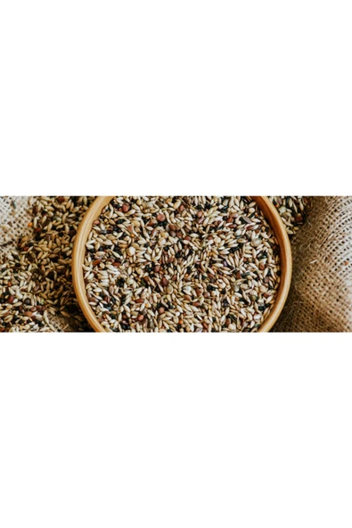 İKSİR PROF Doğa Kuşu (saka,florya,finch) Yemi 1 Kg