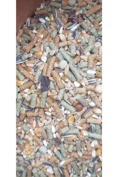 Vivid Bird Kemirgen (tavşan,hamster,ginepig) Yemi 1 Kg - 2