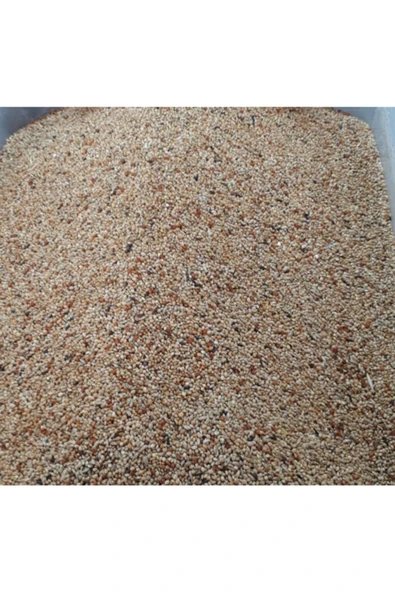 MOYASHOP 1 Kg Ithal Bülbül Yemi - Versele Laga - Kuş Yemi - Yem
