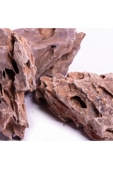 Petshop Dragon Stone Akvaryum Kaya 1 Kg - 4
