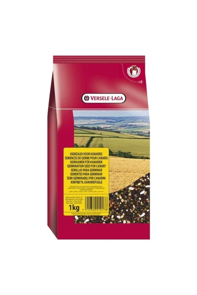 Versele Laga Verselelaga Kanarya Çimlendirme Tohumu 1 Kg