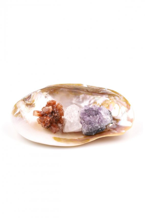 Doğal Taş 4 ‘ lü Naturel Set – İstiridye ( Sedef ) – Aragonit – Ametist – Kristal Kuvars