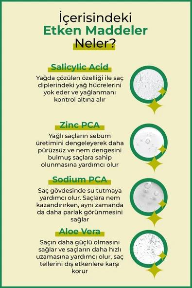ENZYM COSMETICS Yağlı saç derisi ve yağlı saçlara özel yağlanma karşıtı saç bakım seti (şampuan+sprey) - 4