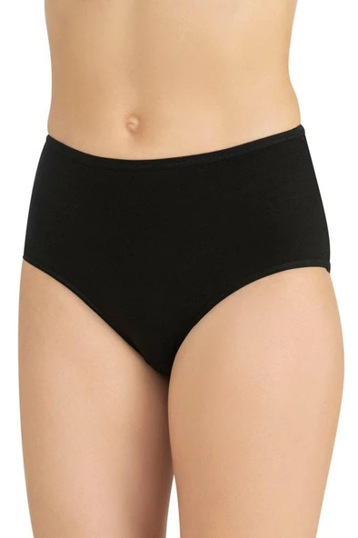 Fabony Bayan Yüksek Bel Külot 1280 - Resim 2