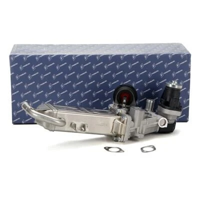Volkswagen Golf 6 1.6 TDI Soğutuculu Egr Valfi Pierburg Marka