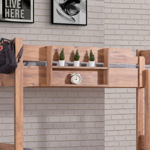 Ranza, Asya New Yavrulu Ranza, Ceviz - Resim 4