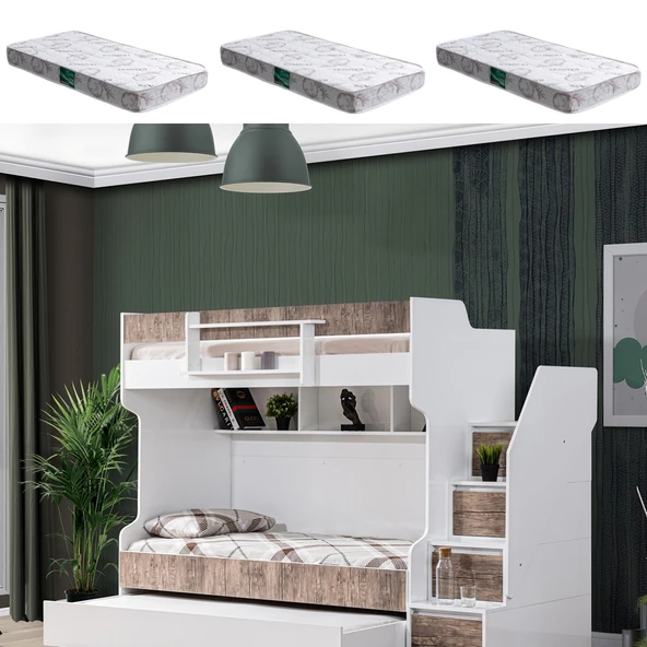 Ranza, Cesur Yavrulu Ranza - Ceviz 3 Adet Comfort Yatak