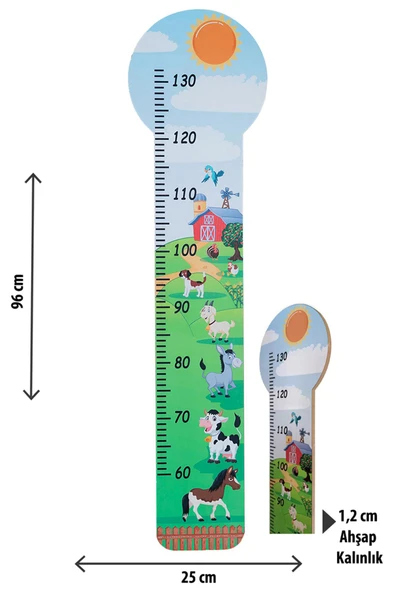 ÇİFTLİK BOY CETVELİ - 4