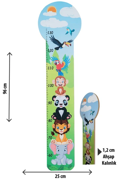 SAFARİ BOY CETVELİ - 5