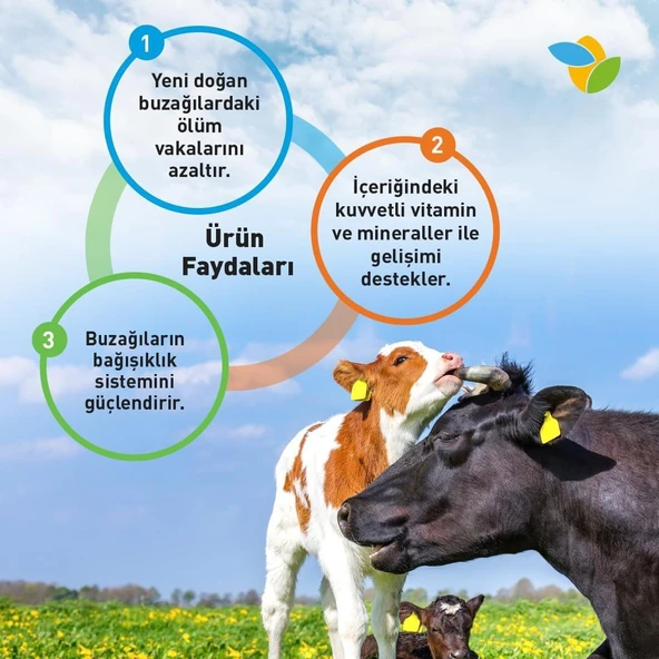 İNTEGRO DİRENÇ BUZAĞI ŞIRINGA JEL (50 GR X 5 ADET ) - 5