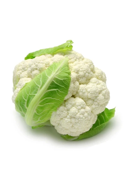 Beyaz Karnabahar Tohumu Başlar 1.5 - 2 KG 200 Adet