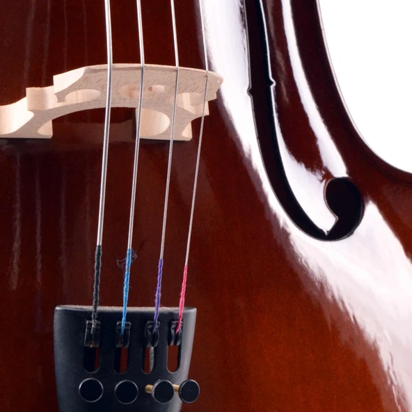 Çello (Viyolonsel) Parlak Cilalı 3/4 MC34DC - Resim 4