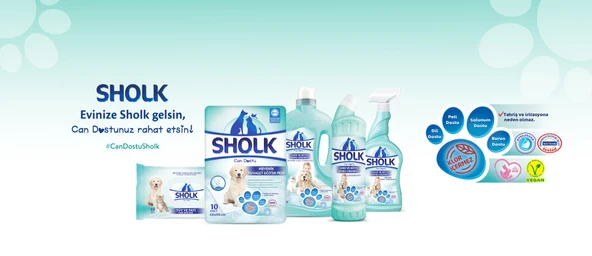 Sholk Evcil Hayvan Tuvalet Çiş Eğitim Pedi 60*90CM 40 Adet (4PK*10) - 3
