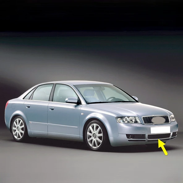 Audi A4 2001-2004 Ön Tampon Alt Orta Izgara Kromlu 8E0807647