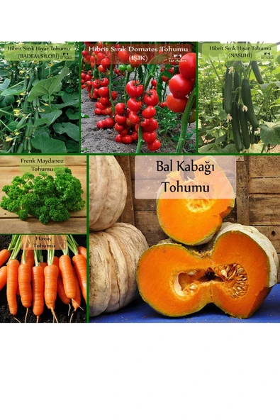 6 Paket Tohum No4 Hibrit F1 Salatalık Tohumları Domates - Frenk Maydanozu Tohumu Havuç Tohumu ...