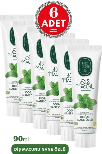 Eyüp Sabri Tuncer Diş Macunu Nane Özlü 90 ml x 6 Adet