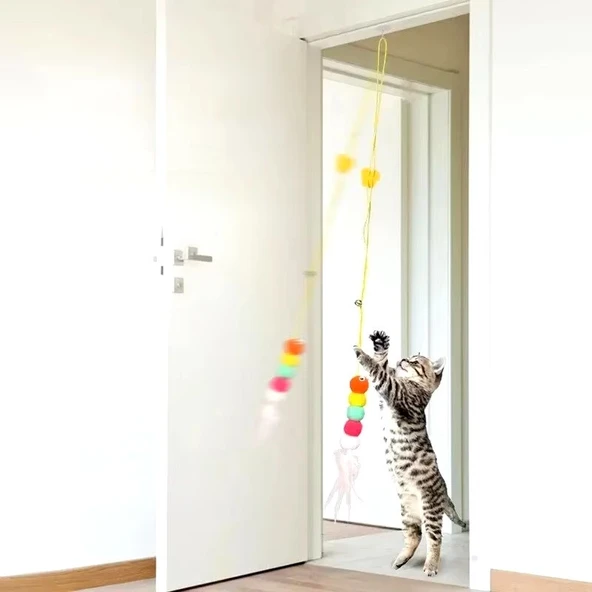 Elastik Kendinden Yapışkanlı Kedi Oyun Oltası - 3