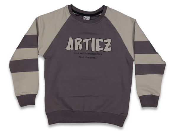 ARTIEZ BASKILI ERKEK SWEATSHIRT - 2