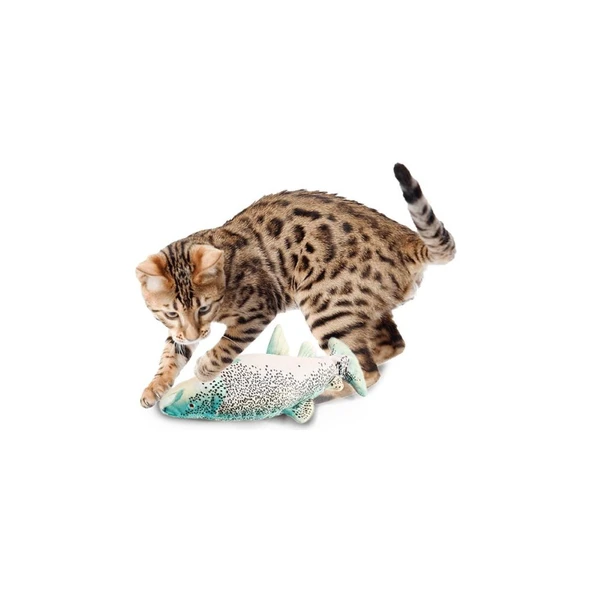 AFP Titreşimli Alabalık Catnip Gümüşasma 28x12x5,5 cm - 3