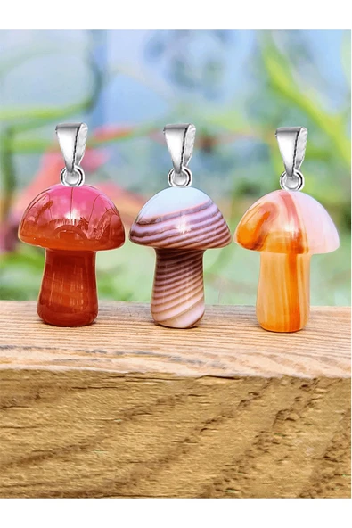 Sertifikalı Mantar Model Karnelyan Akik Taşı Kolye - Gümüş Aparatlı - Resim 2