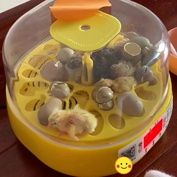 Mini Otomatik Ev Tipi Kuluçka: Papağan Bıldırcın Kuluçka Makinesi 18li Yumurtalı Mx-18 - 3