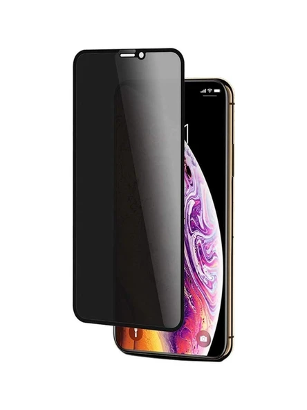 Mopal Apple iPhone 11 Tam Kaplayan Hayalet Ekran Koruyucu Cam