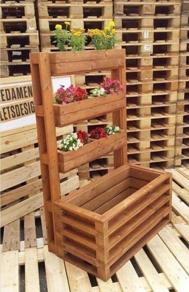 KUZELA Ahşap 4 Lü Sukulentlik ve Saksılık.