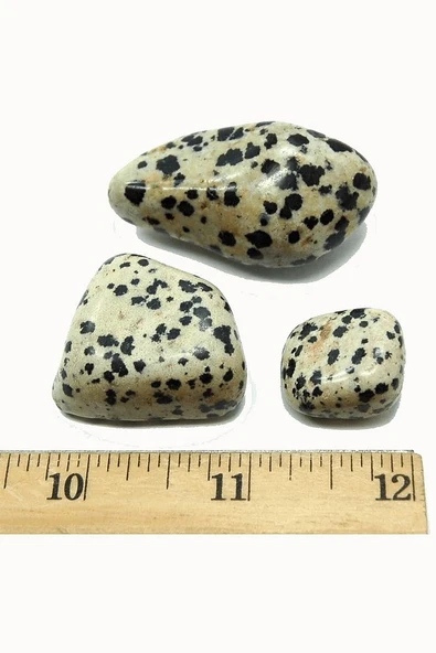 Sertifikalı Dalmaçyalı Jasper Taşı Doğal Taş Kütle 3 Adetli