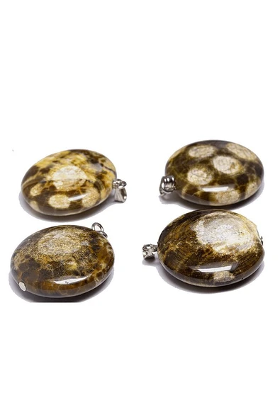 Sertifikalı Doğal Ammonit Fosili Doğal Taş Kolye - Resim 2