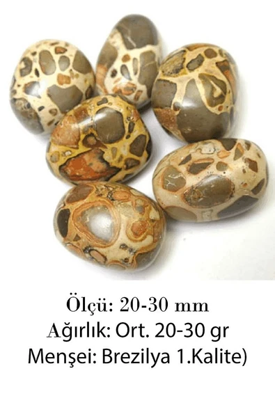 Sertifikalı Riyolit Taşı Kütle (leopardite) - Resim 2