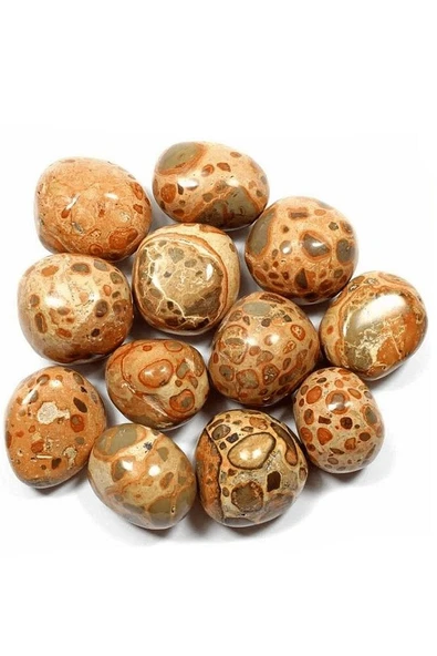 Sertifikalı Riyolit Taşı Kütle (leopardite) - Resim 3