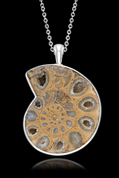 Sertifikalı Ammonit Fosil Doğal Taş Kolye - Aaa+ Kalite - Resim 2