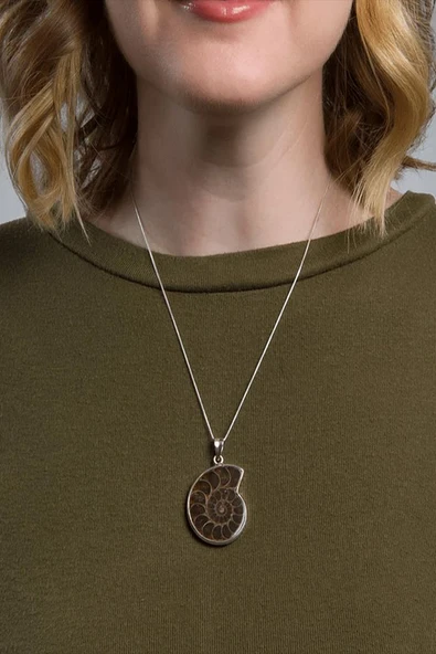 Sertifikalı Ammonit Fosil Doğal Taş Kolye - Aaa+ Kalite - Resim 5