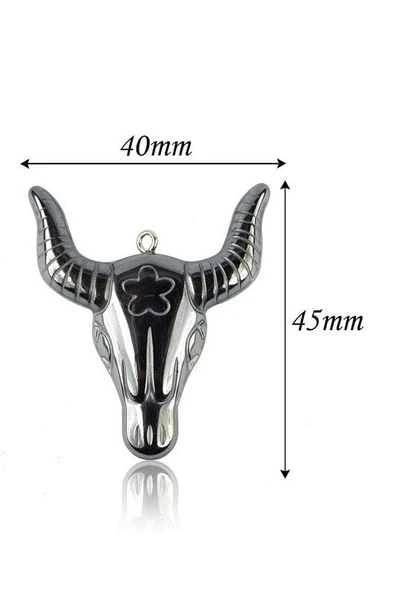 Sertifikalı AAA+ Boğa Başı Model Doğal Taş Hematit Taşı Kolye - Resim 2