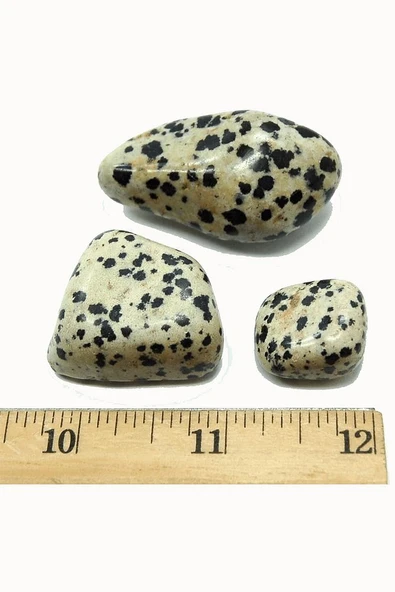 Sertifikalı Kalp Model Gerçek Dalmaçya Jasper Taşı Kolye - Resim 2