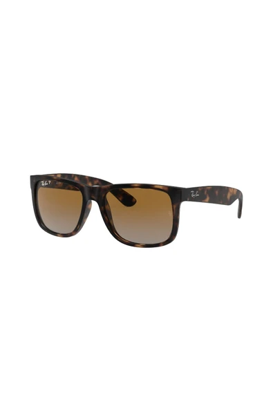 Ray-Ban RB 4165 865 / T5 Polarize Unisex Güneş Gözlüğü