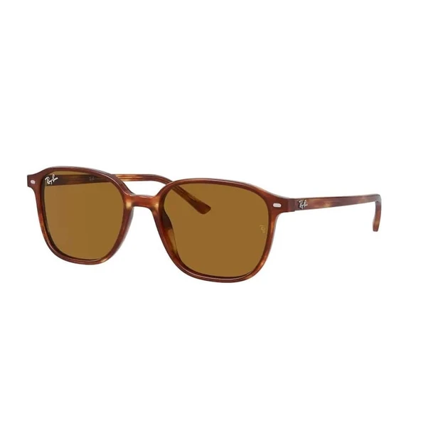 Ray-Ban RB 2193 954/33 51 Unisex Güneş Gözlüğü - 1