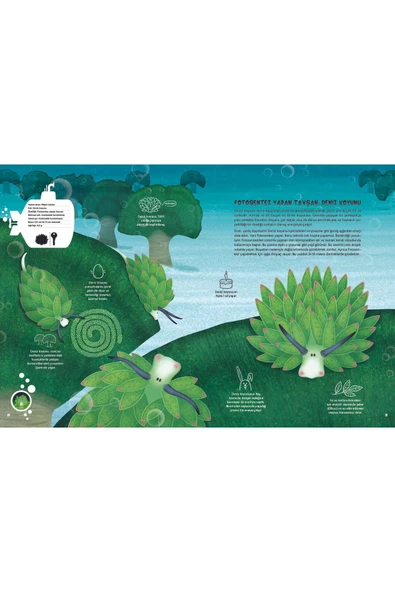 Taze Kitap Su Altı Atlası - 5