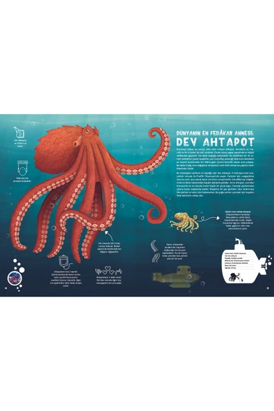 Taze Kitap Su Altı Atlası - 2