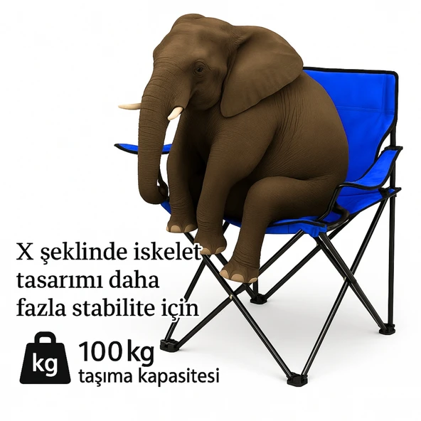 2 Adet Katlanır Kamp Sandalyesi - Piknik Plaj Sandalyesi - (DY.001) - Mavi - Taşıma Çantalı - 4